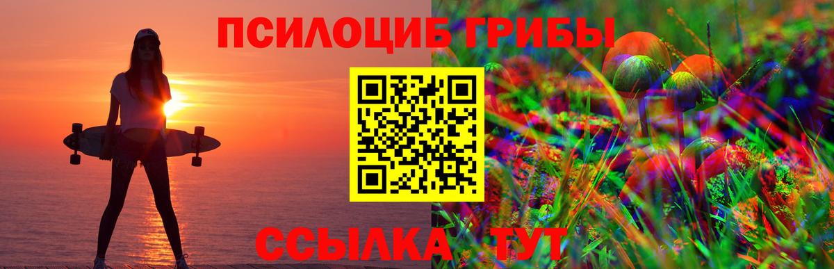 Асбест  Псилоцибиновые грибы прущие грибы  Вход с VPN 